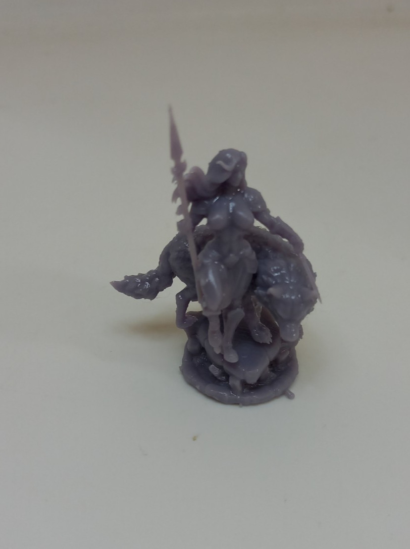 D&D SkadIa Frostfang Topless Valkyrie 3D Printed Resin Model Hold My Minatures