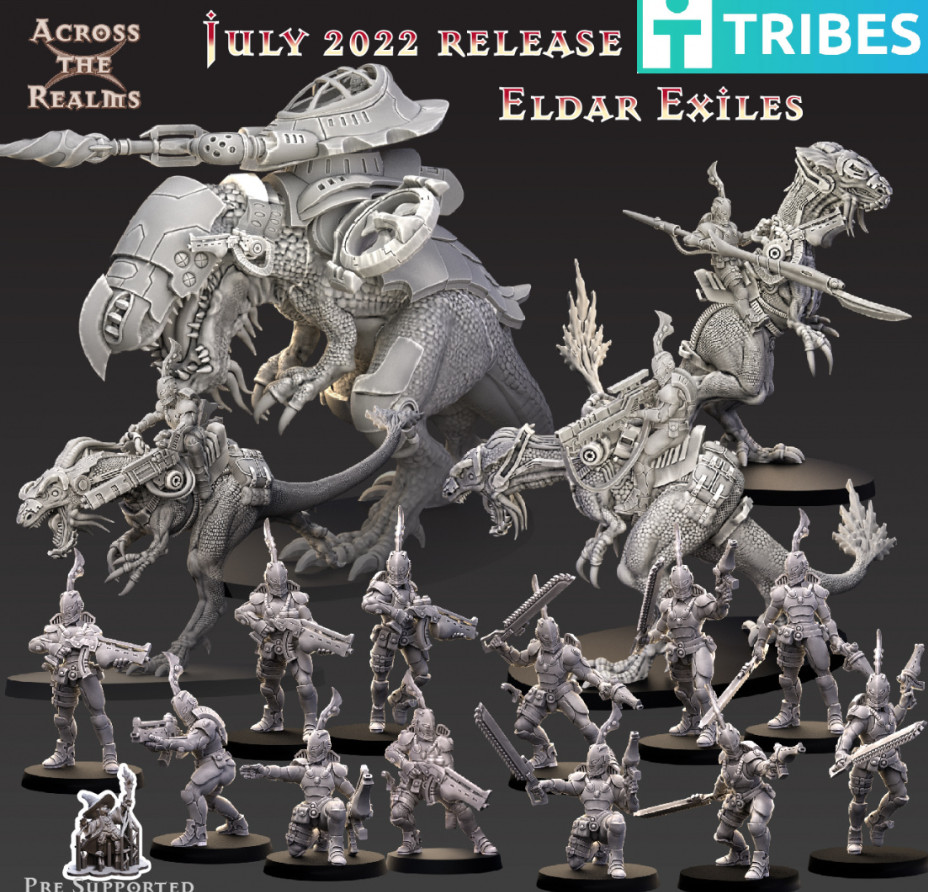 Eldar Exiles Collection of 16 models