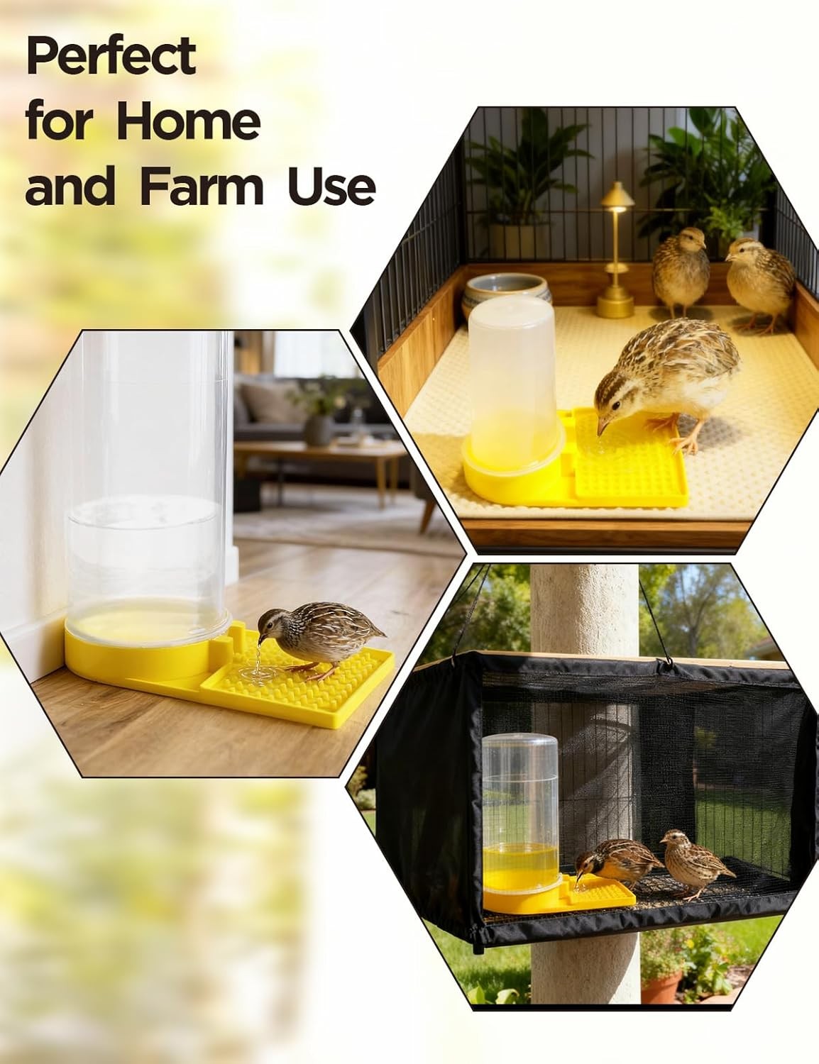 Large Capacity Quail Water Feeder,Button Quail Supplies for Quail Cage Multi-Use