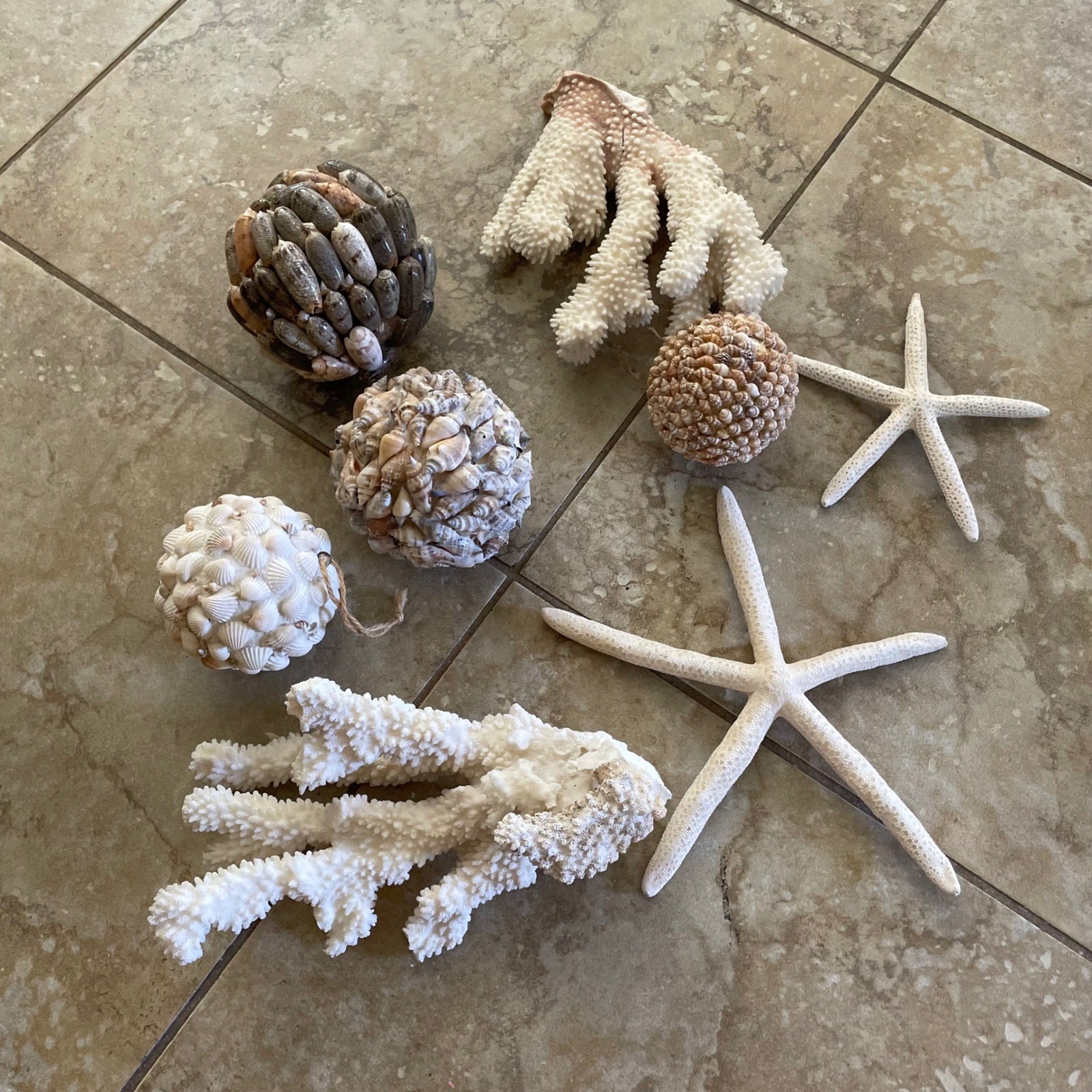 8pc Coastal Decor Set Real Coral Starfish Seashell Nautical Beach House Decor