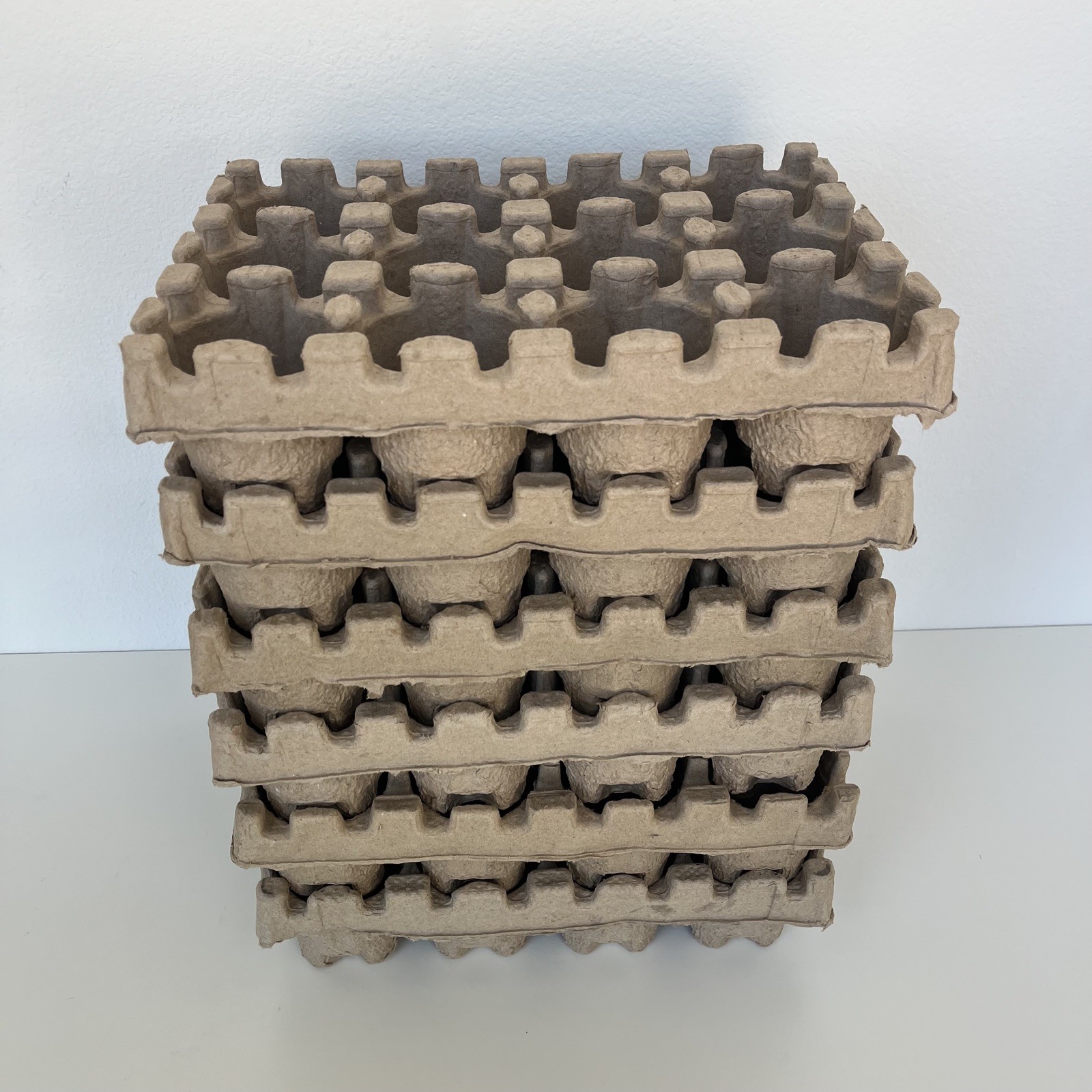 Beer Can Shipping Trays, Pack of 6