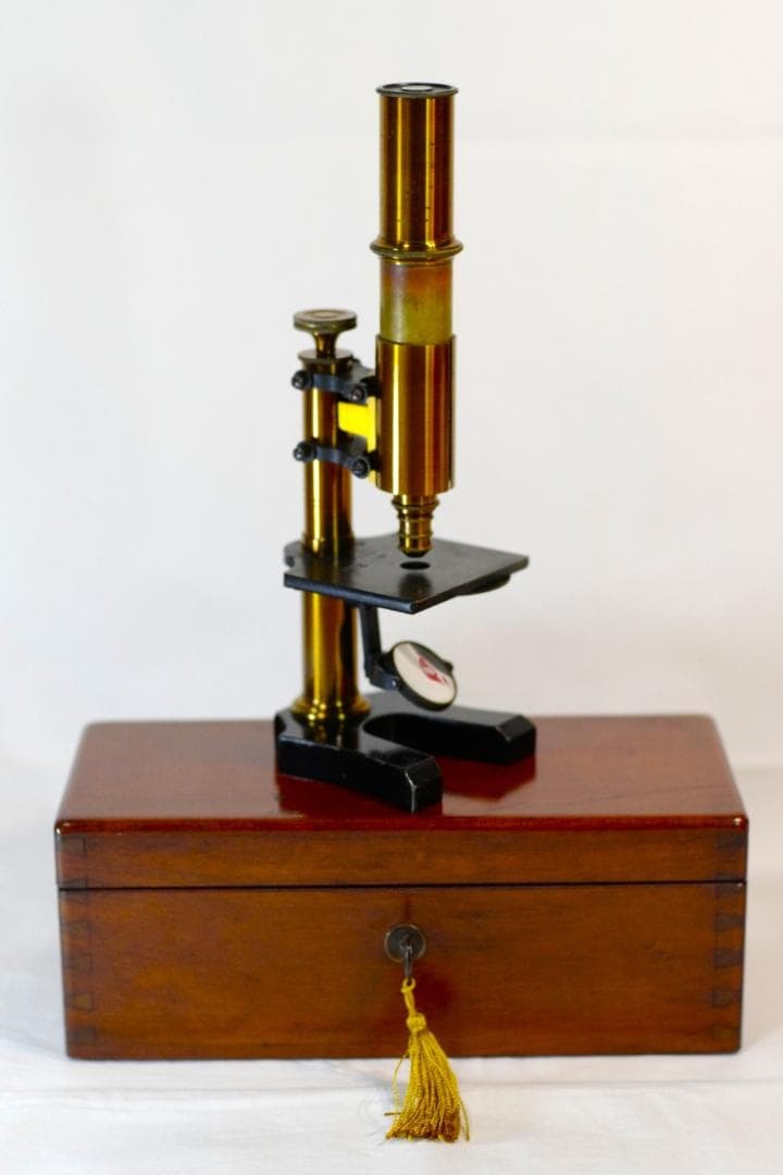 microscope antique collectible Ernst Leitz Stand V Microscope SN.1557 1873