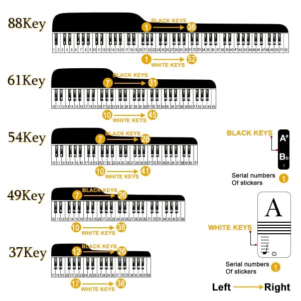 Removable Piano Keyboard Note Stickers for Beginners - 88 Key Labels