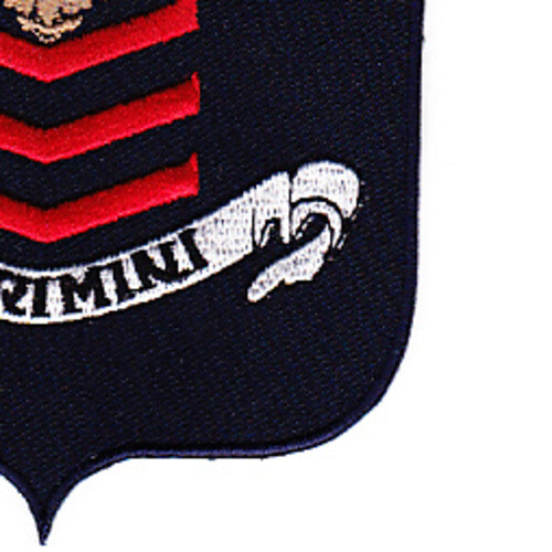 VF-2 Fighter Squadron Chief Petty Officer Pilots Patch