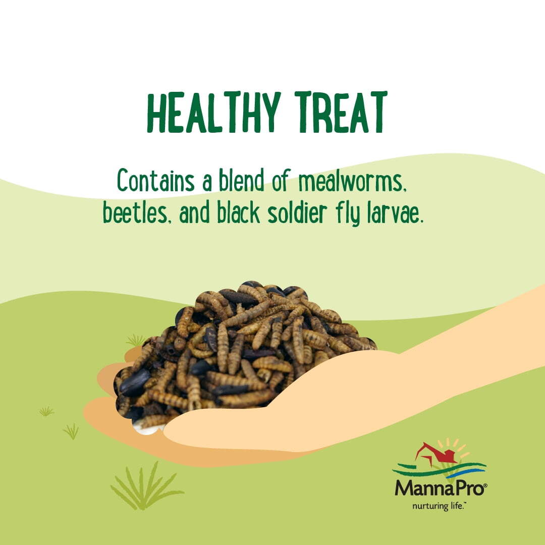 Farmhouse Favorites Chicken Treats - Triple Bug Mix - 1 Bag - 2lb