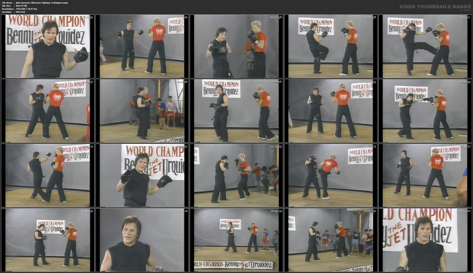 Dynamic Kickboxing Training starring Benny Urquidez (8 DVD Set)