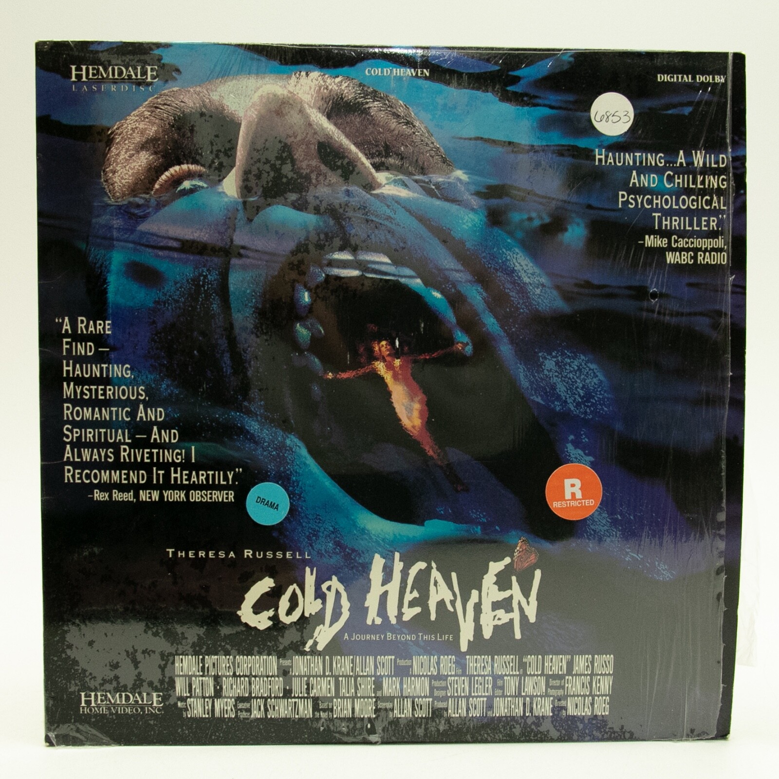 Cold Heaven – Laserdisc 1992 Theresa Russell Drama Mystery