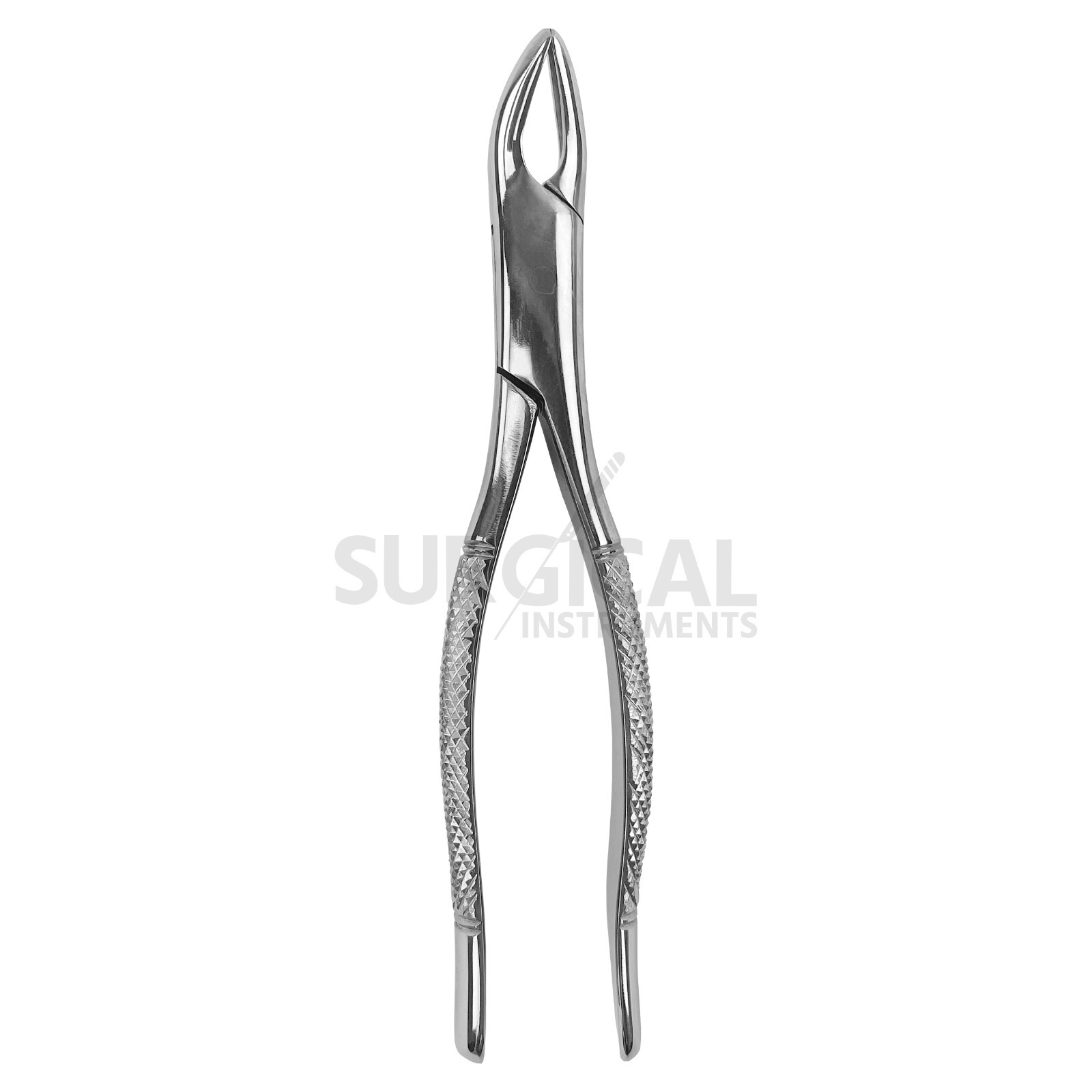 Dental Extracting Forceps #101, Dental Instruments Tools Stainless German Grade