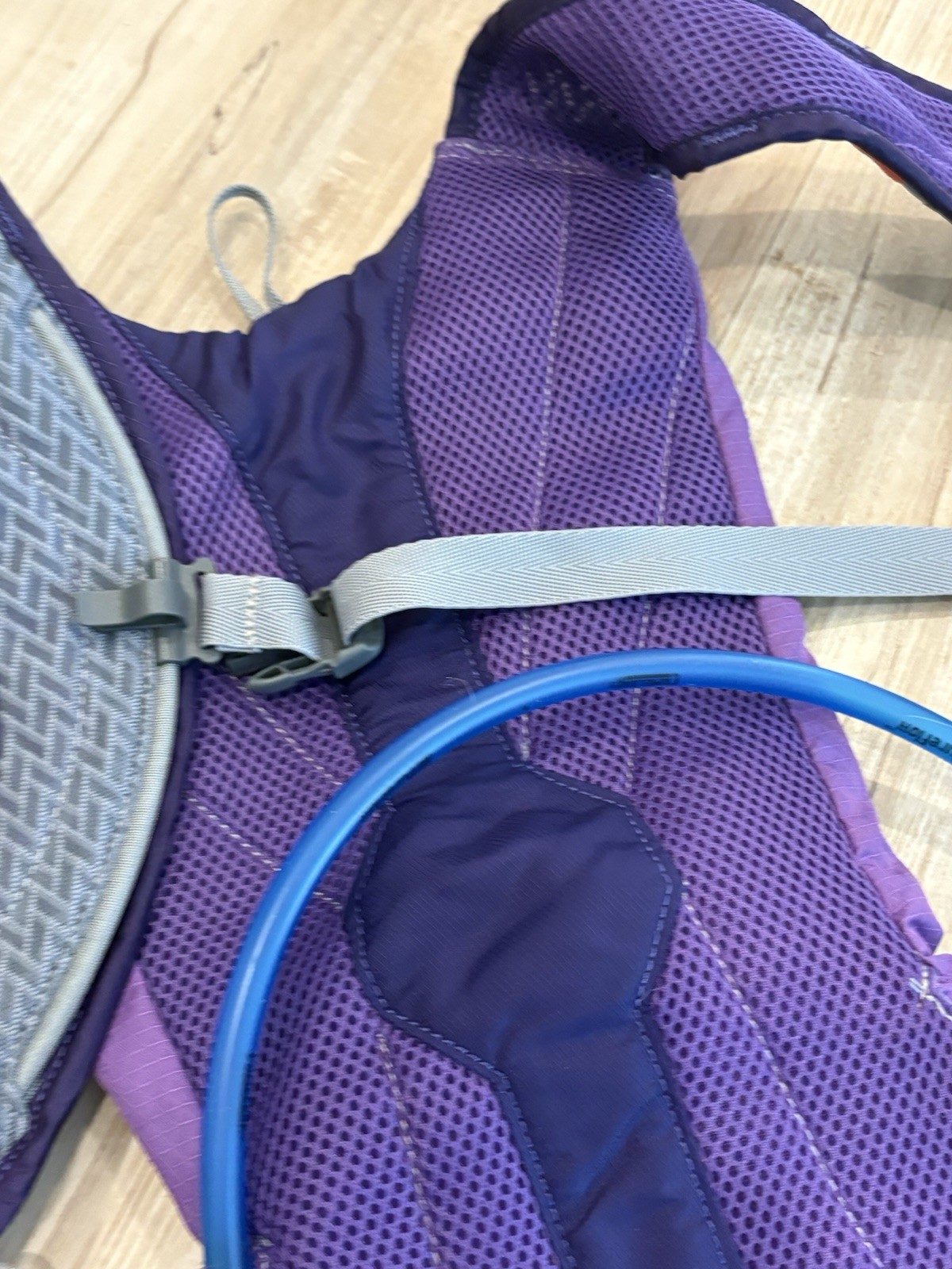 Camelbak Octane LR Hydration Purple & Gray Hydration Pack Vest New W/Bladder