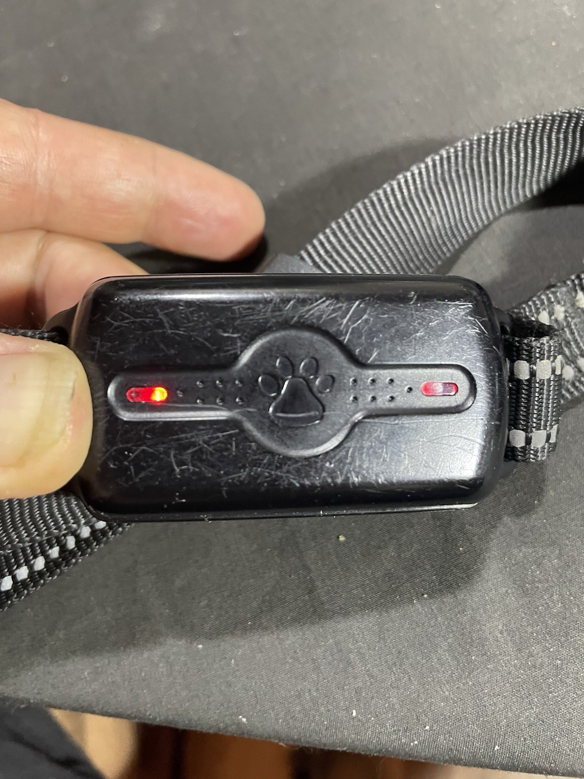 Electric dog training collar set