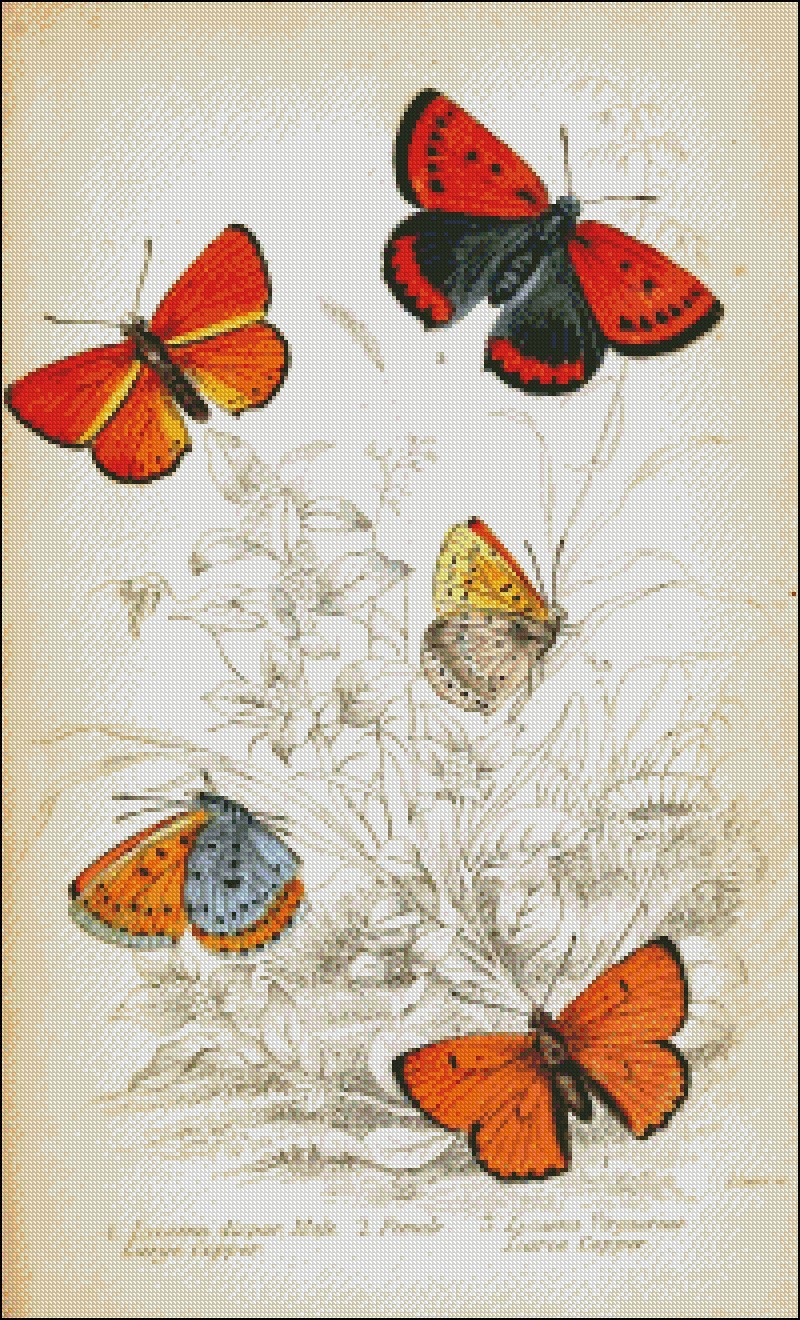 Chart Needlework Craft DIY Counted Cross Stitch Patterns - Five Butterflies