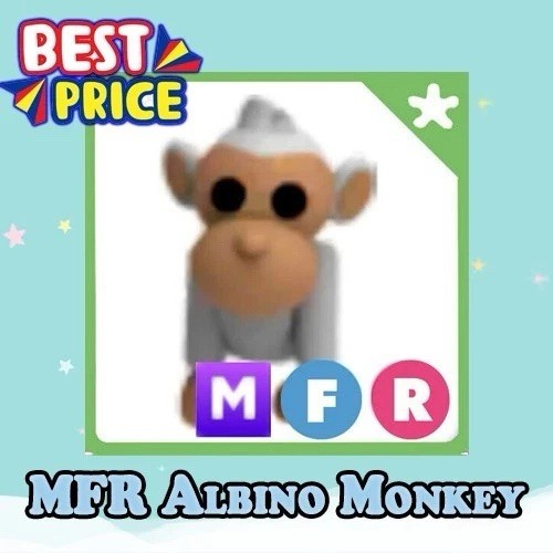 MFR ALBINO MONKEY - Adopt right now