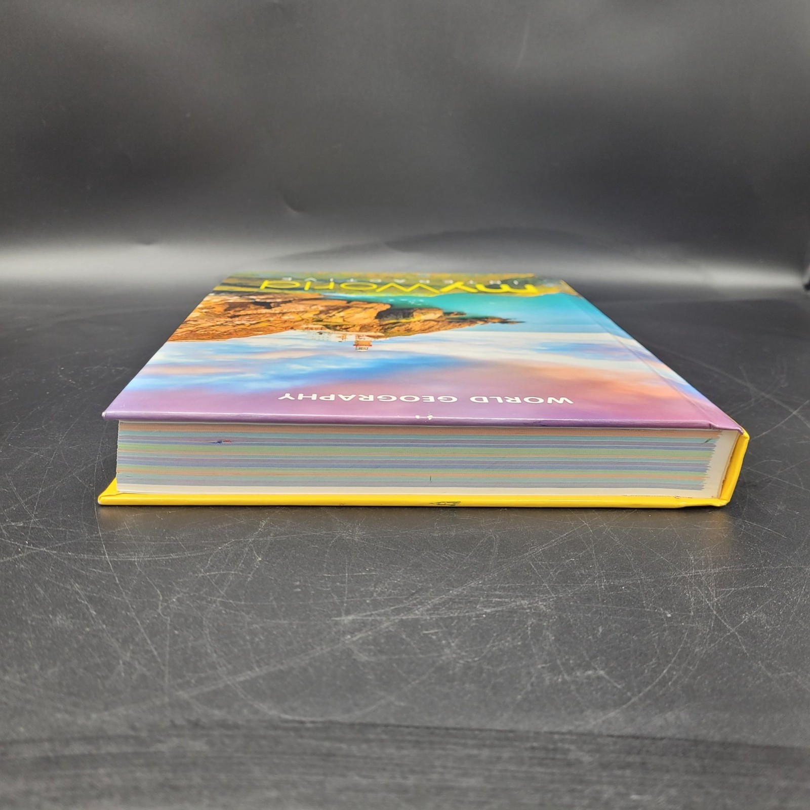 MY WORLD INTERACTIVE World Geography Middle School Textbook Multiple Available