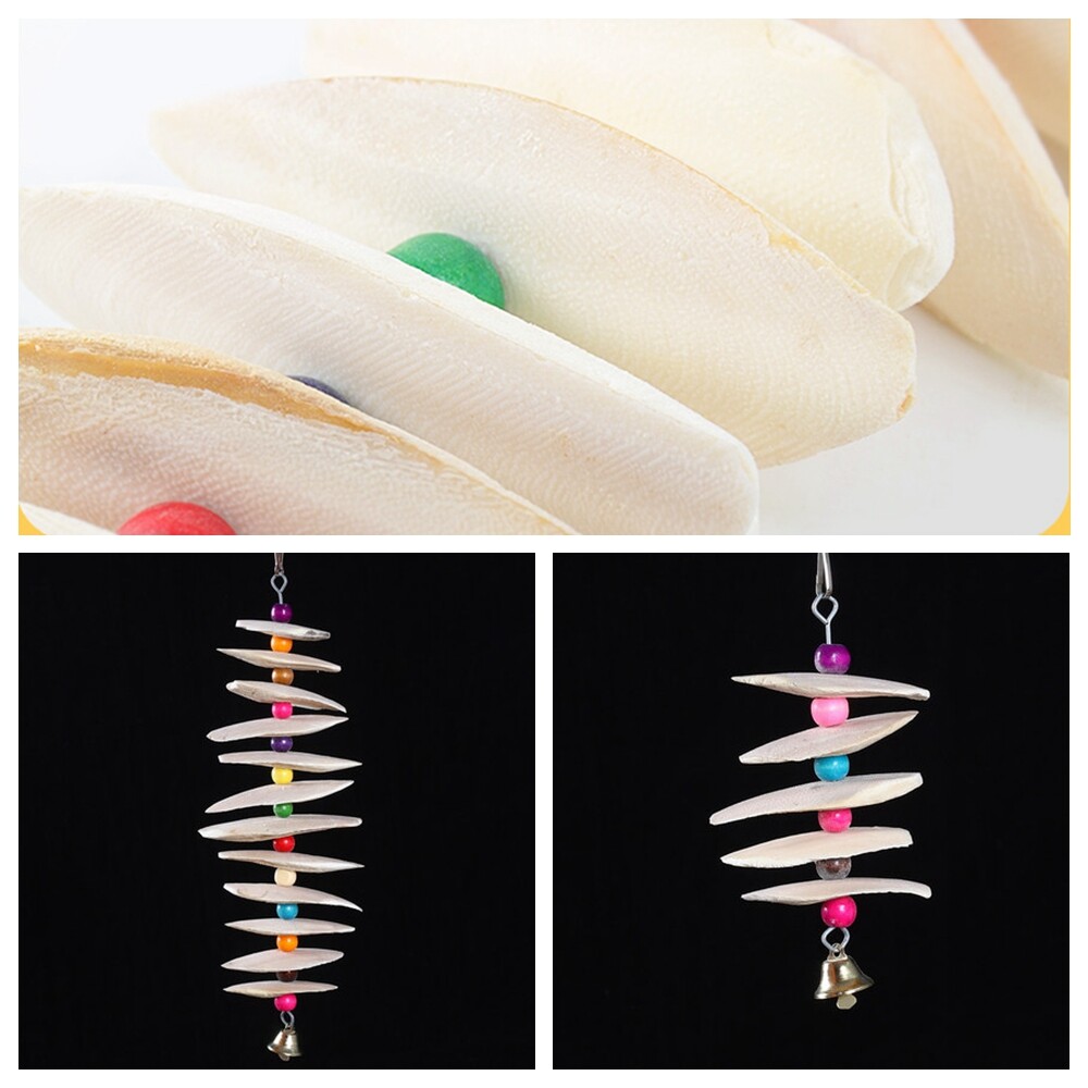 Natural Cuttlefish Bone Bones skewers Suitable  For Birds Tortoise Snails