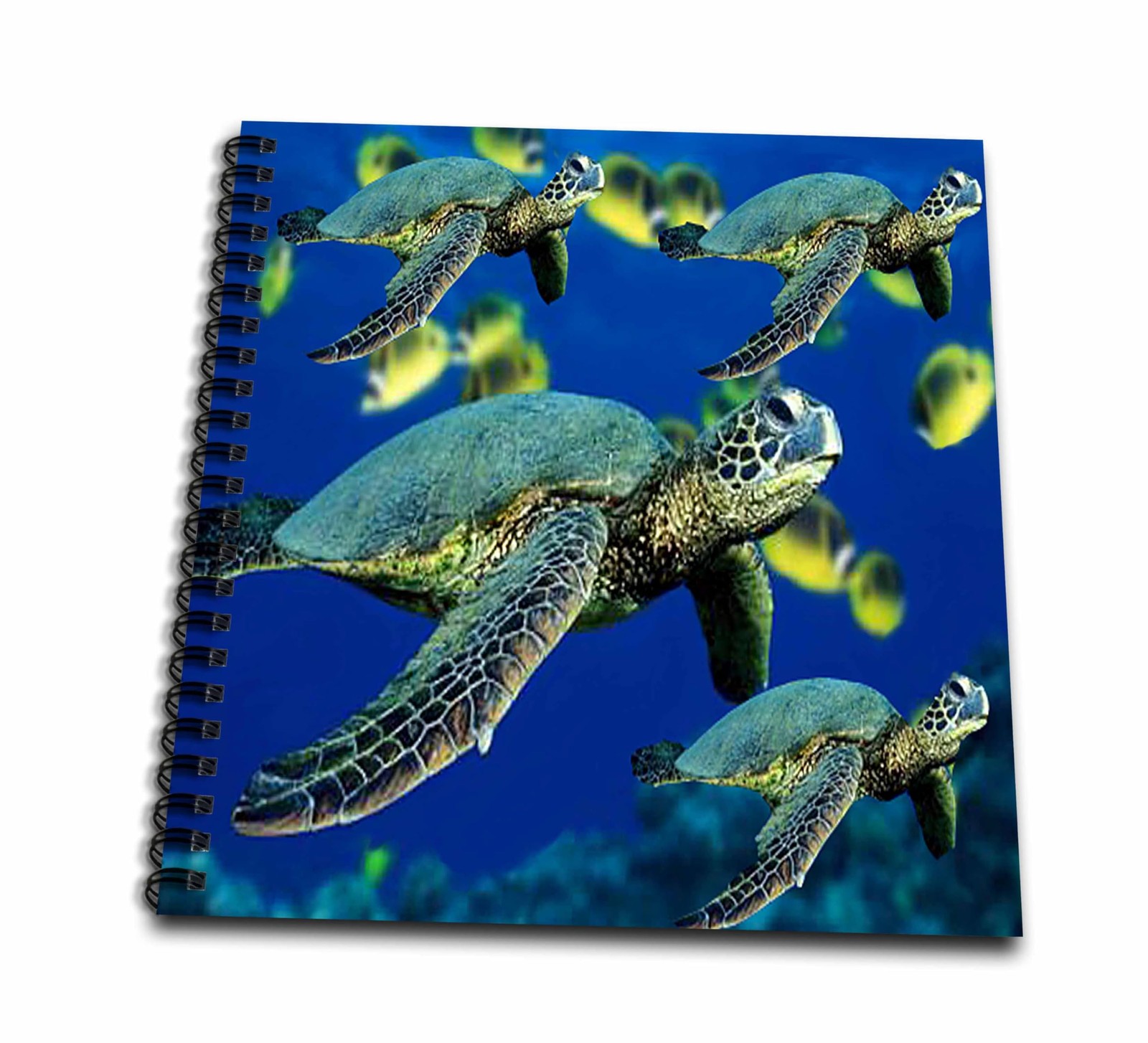 3Drose Db268491 Sea Turtles-Drawing Book 8 By 8-Inch Db_26849_1