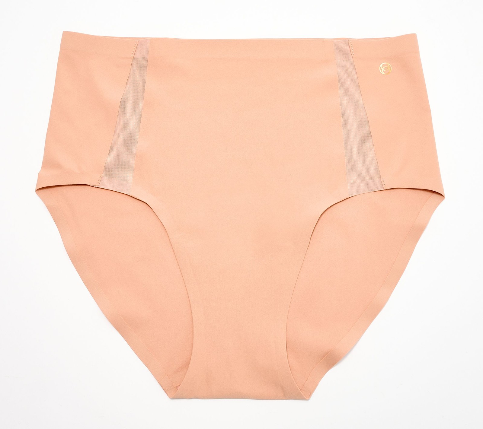 Evelyn & Bobbie High Waisted Mesh Seamless Bikini Panty Himalayan Salt 0-14 New
