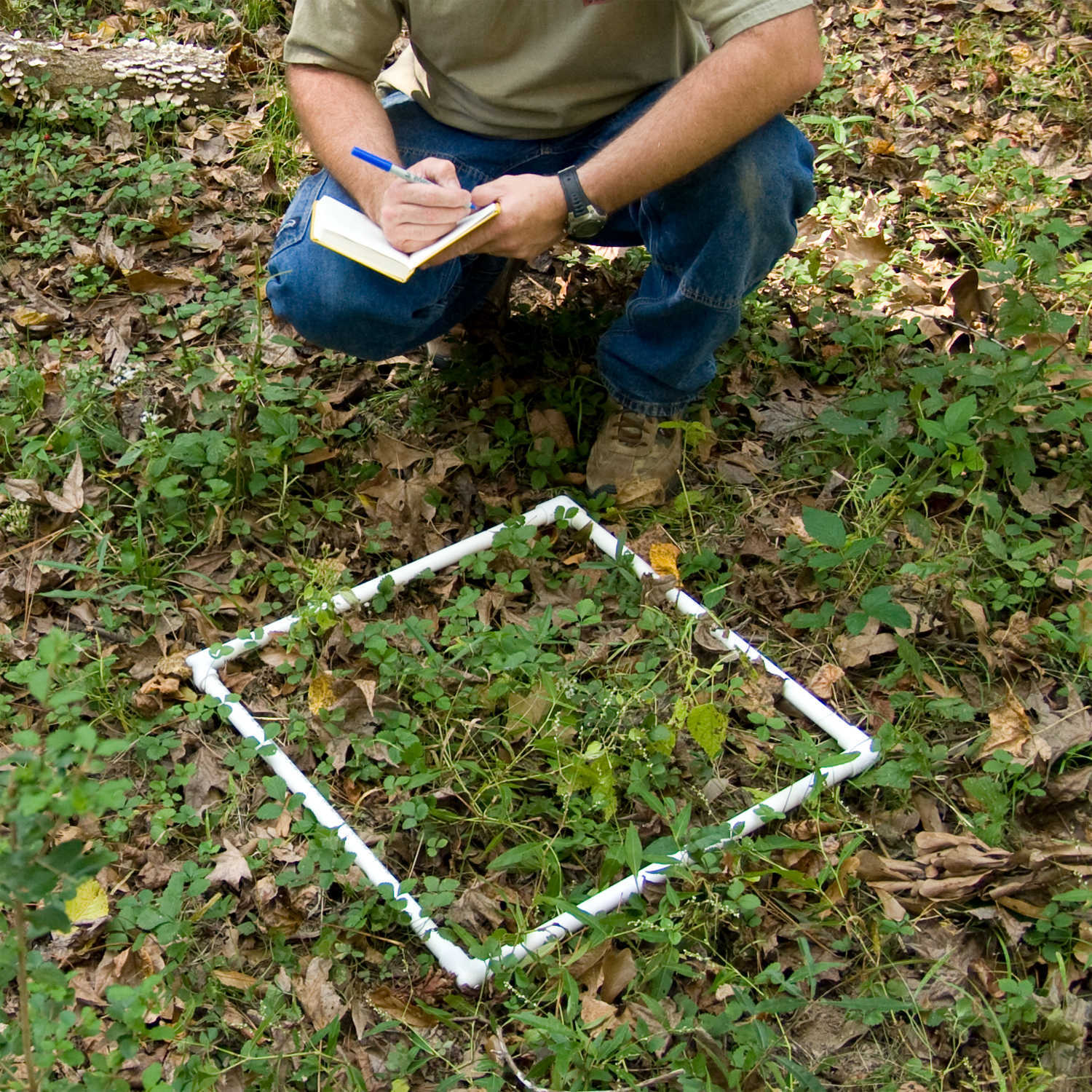 Collapsible Sampling Square 0.25 Meter