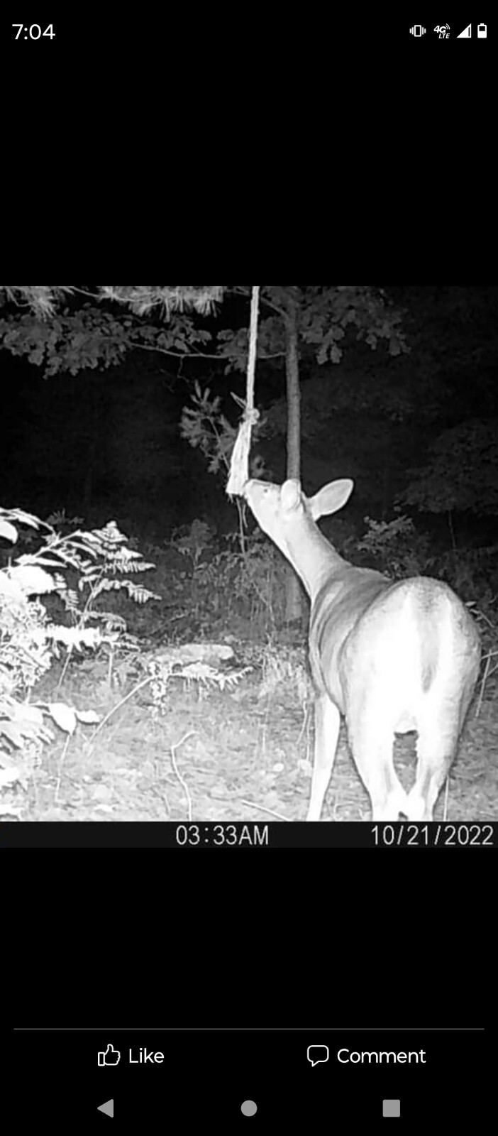 deer attractant Rope Kit! Free Shipping!