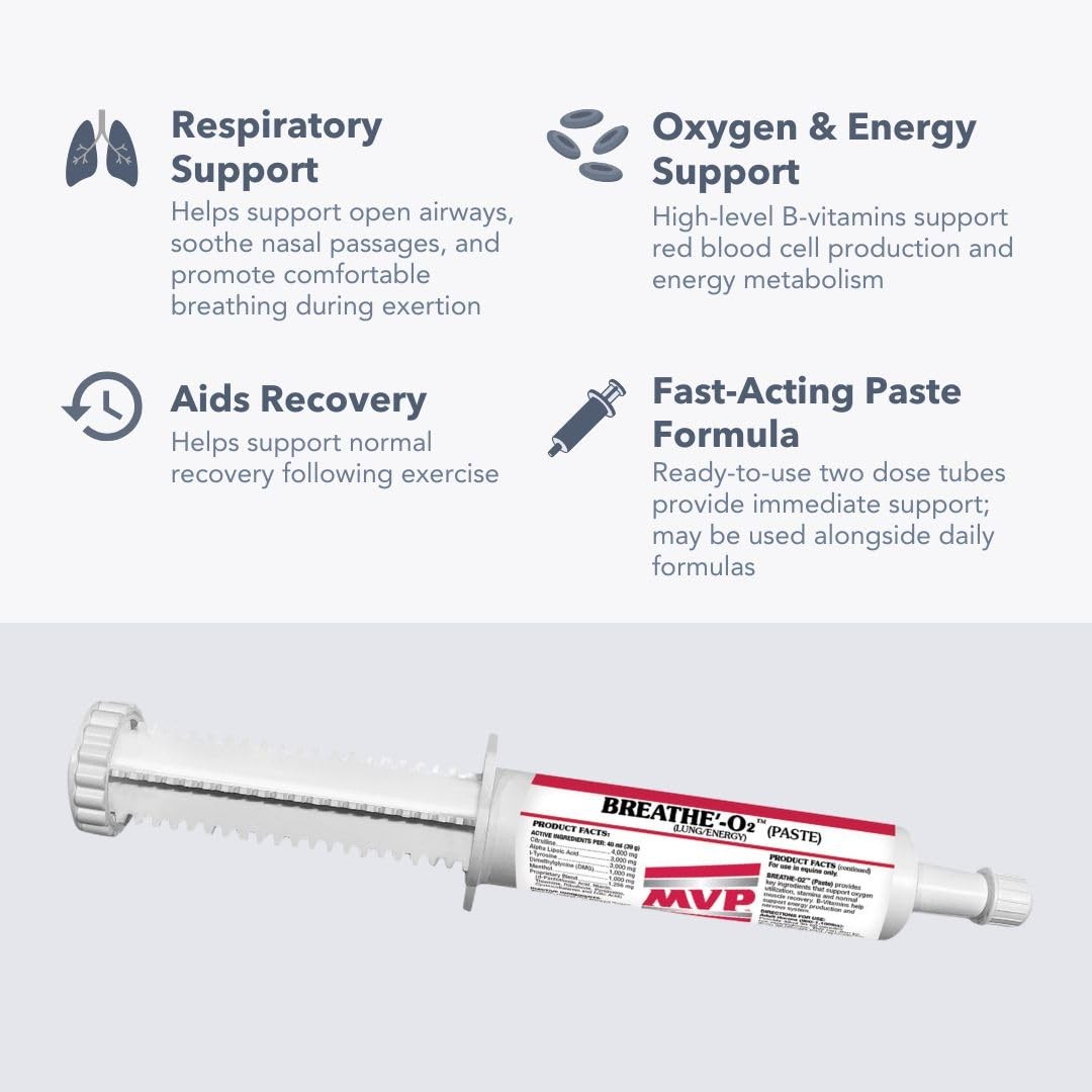 Breathe O'2 Paste (2 doses) Pre-Race Paste to Support Lung/Airway Function & ...