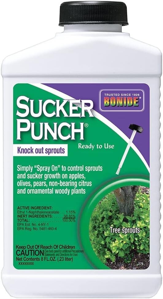 BONIDE PRODUCTS BND276 Ready to Use Punch Stop Suckers Sprouting from Roots and