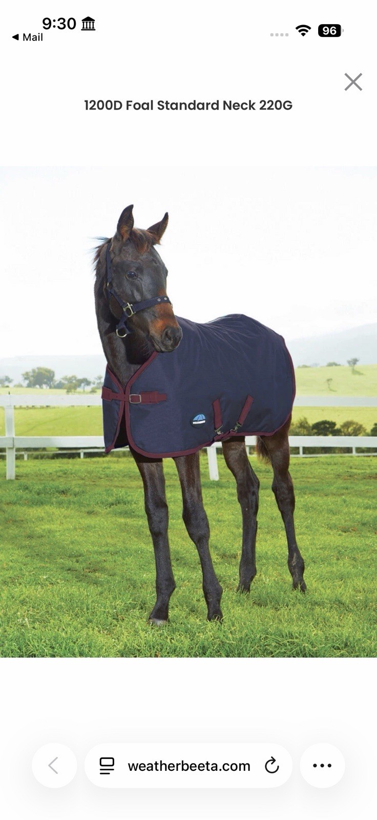 WeatherBeeta 1200D Foal Turnout Blanket Standard Neck Navy Burgundy
