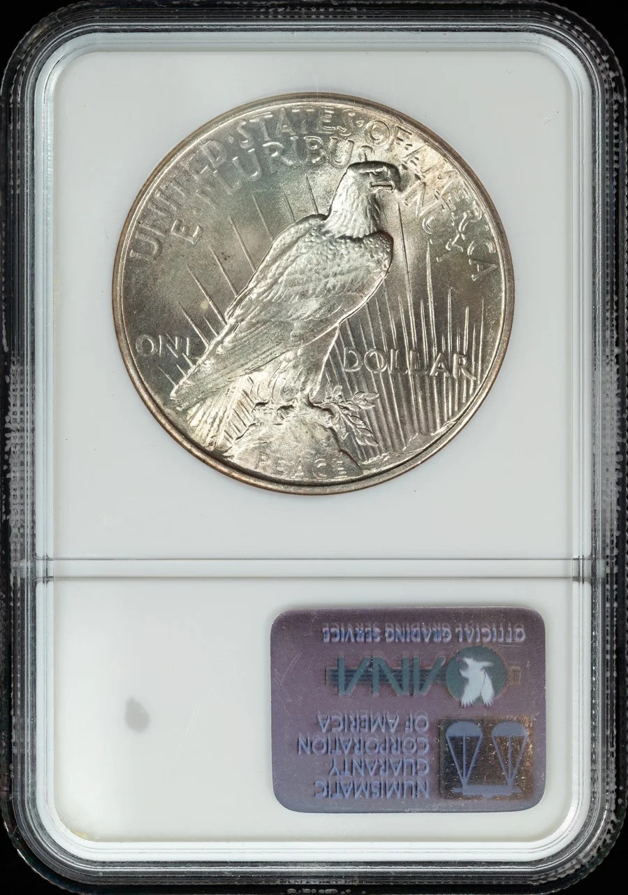 1925 Peace Silver Dollar NGC MS-65