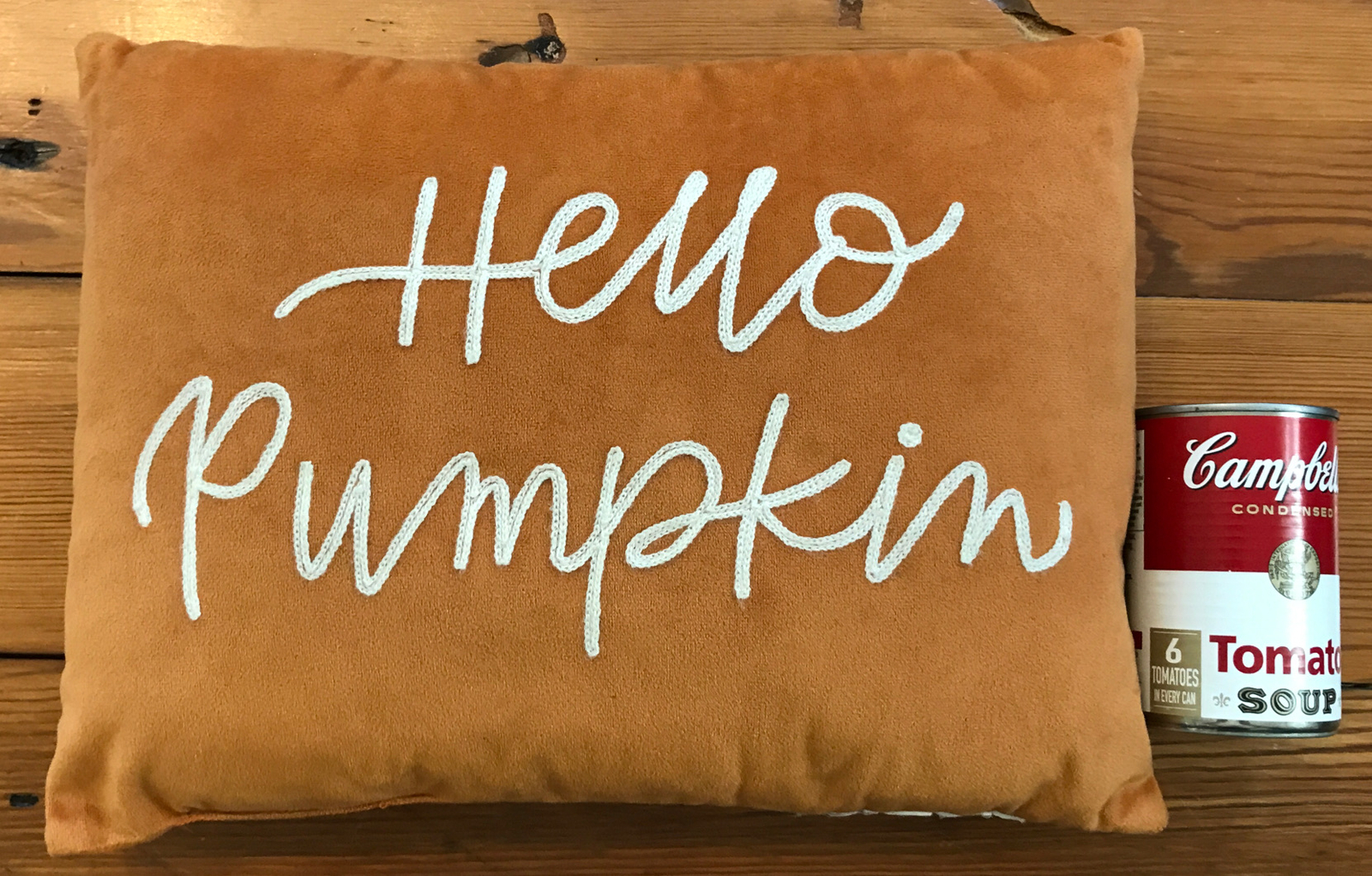 Hello Pumpkin Cursive Script Embroidered Velvet Fall Autumn Orange Throw Pillow