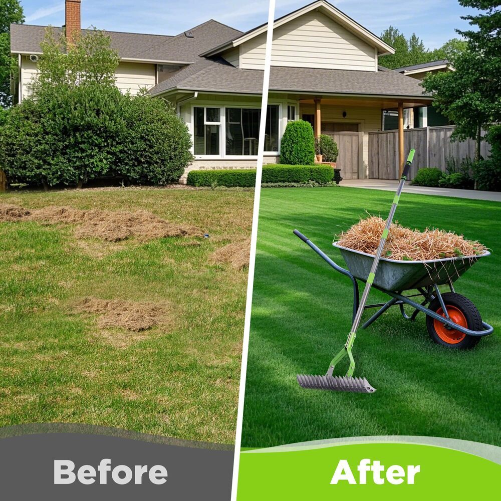 WORKPRO 15-Inch Thatch Rake for Lawns Heavy Duty Dethatcher Rake with 5FT Handle