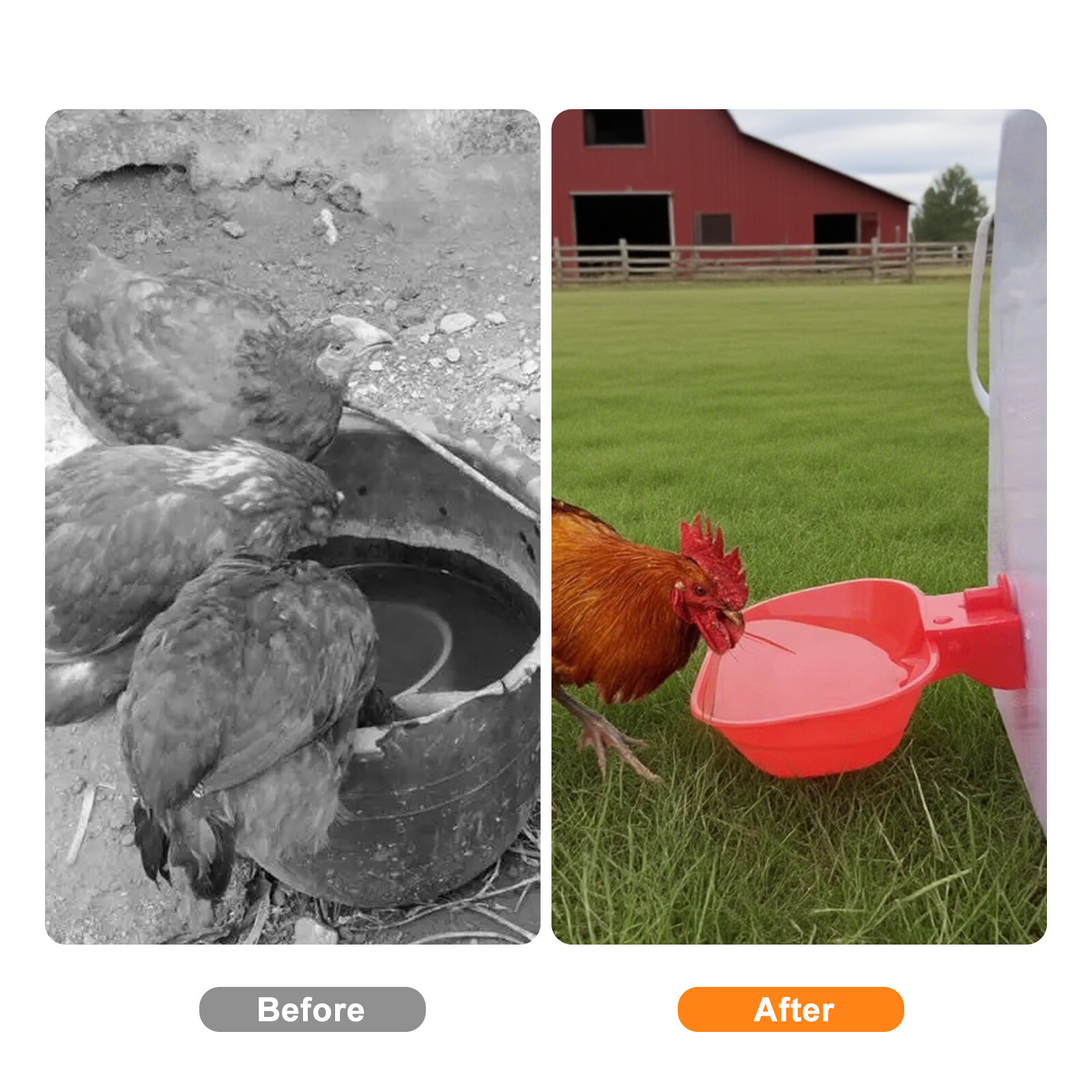 6PCS Large Automatic Water Cups Chicken Duck Quail Drinker Waterer w/ Drill Bit