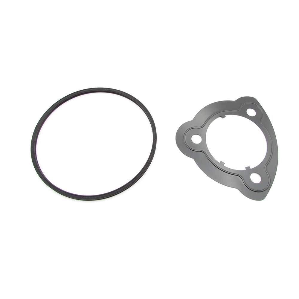 BMW N51 N52 Vacuum pump seal repair kit - High-quality seals and gaskets