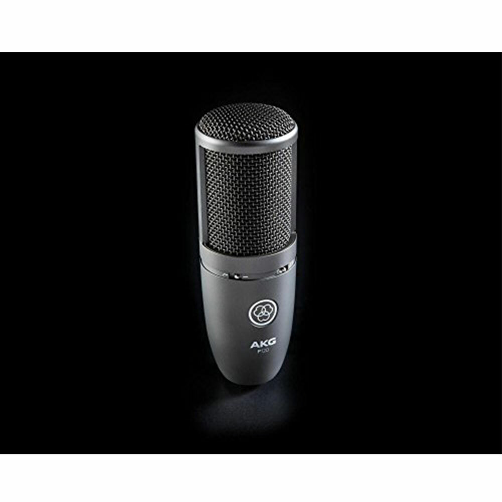 AKG P120 High-Performance General Purpose Recording Microphone