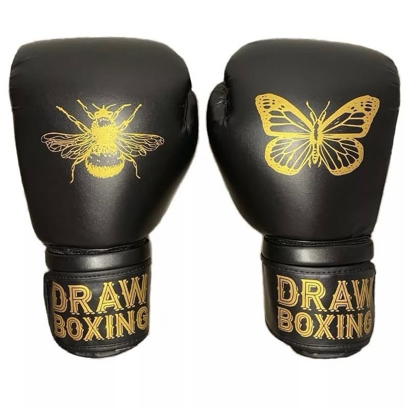 Boxing Gloves: Brand New Adult Draw Boxing Bag Gloves 12 Oz Bee & Butterfly
