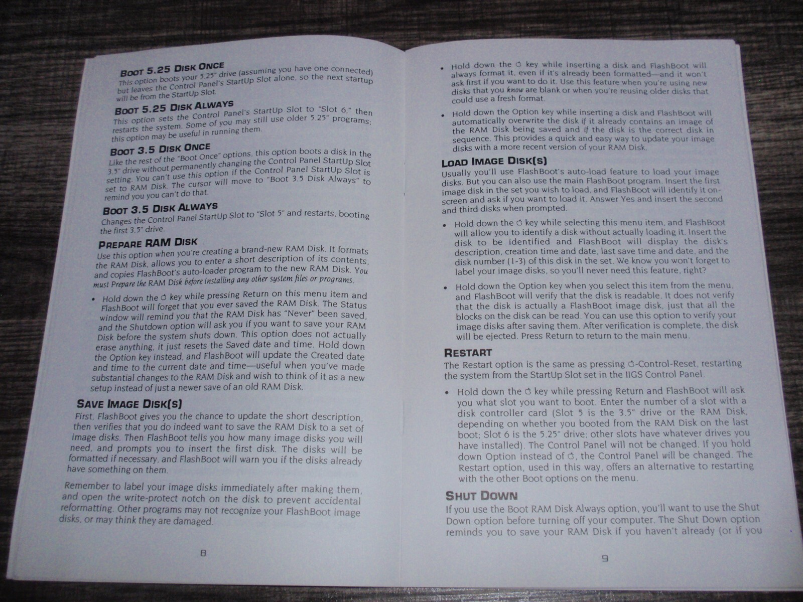 Manual for FlashBoot Apple IIGS RAM Disk Management Software by Jerry Kindall 92