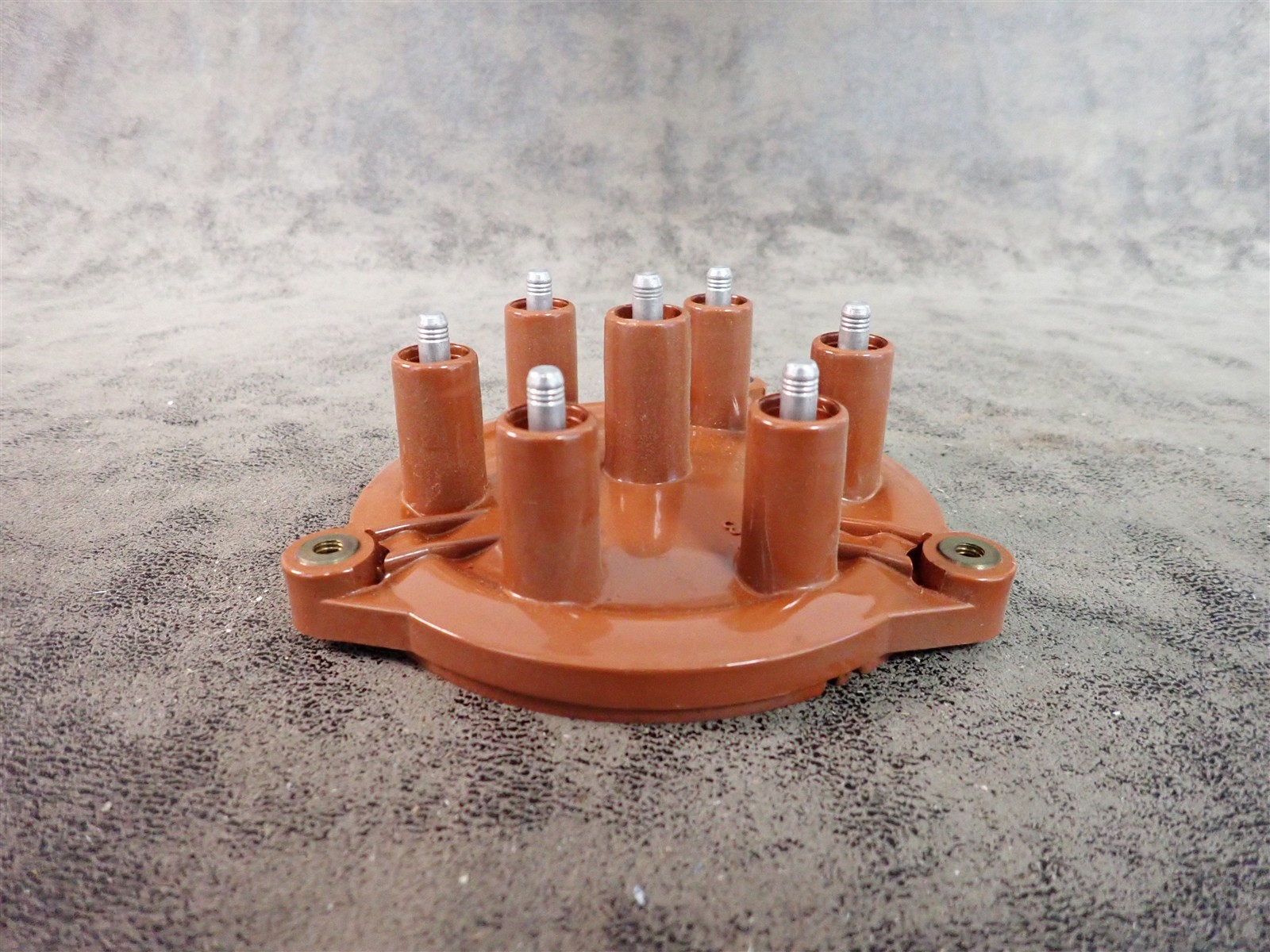 NEW WVE 5D1216 Distributor Cap (G219)