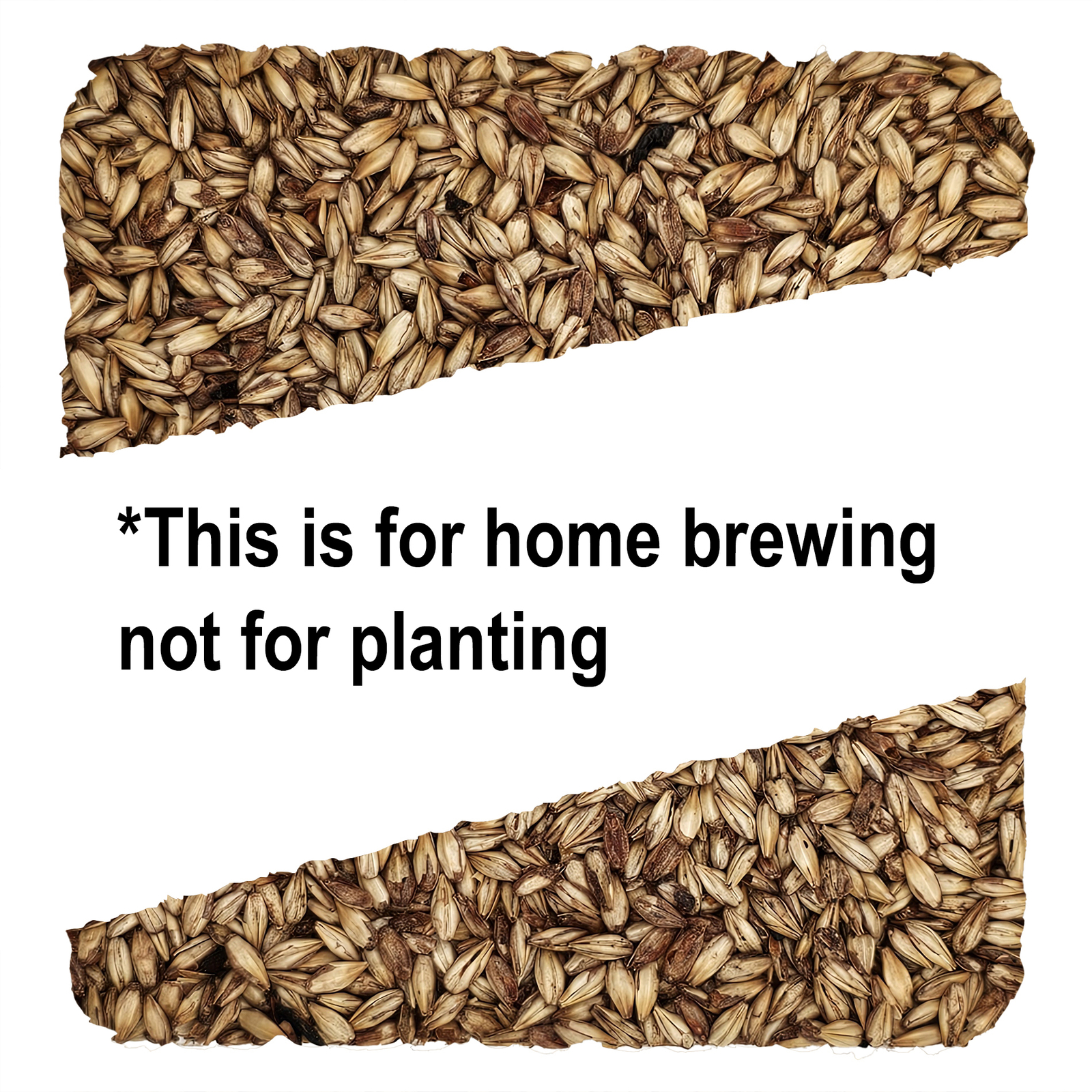Home Brew Ohio Caramel 10L Grain 1lb