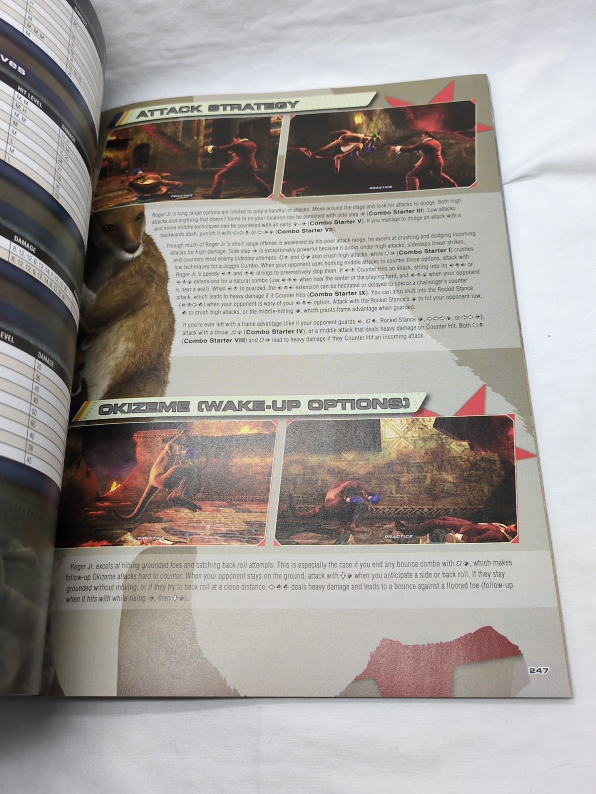 Tekken 6 Bradygames Strategy Guide Book