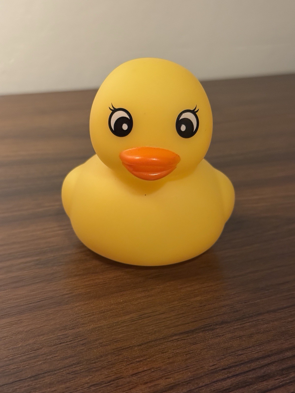 Light Up Duck