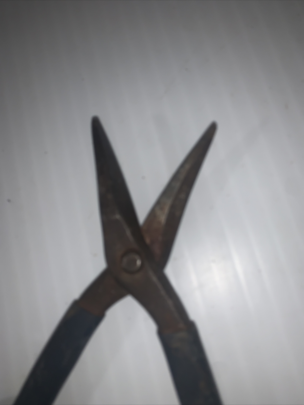Straight Pattern Tim Snips 10"