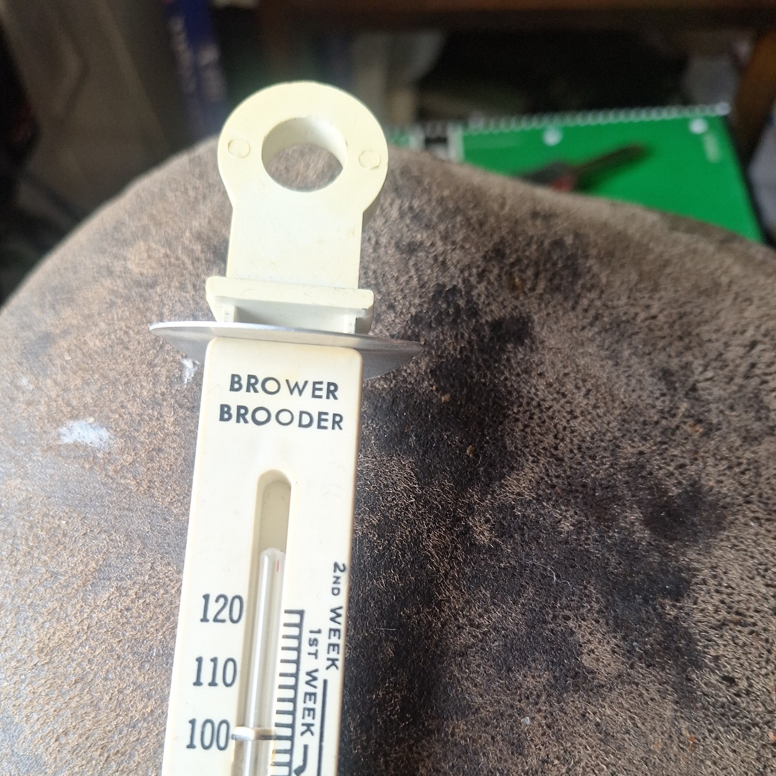 Vintage Ajusto Brooder Thermometer MADE IN THE USA #4882