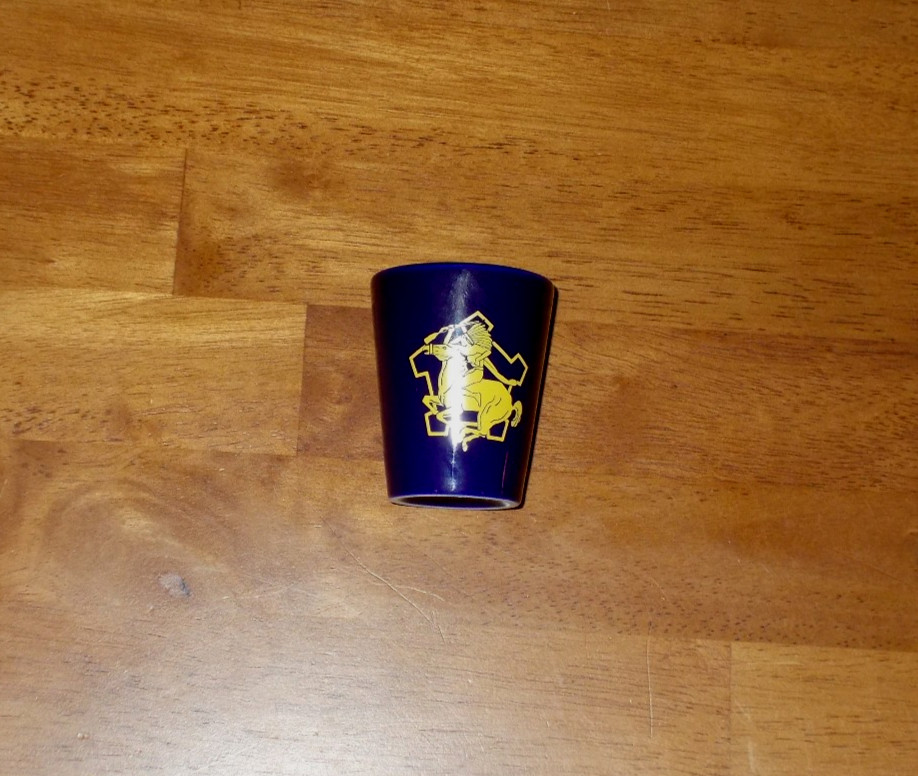 US ARMY 6TH SQUADRON 9TH CAVALRY CAV REG 6-9 SABERS BUFFALO SOLDIERS SHOT GLASS