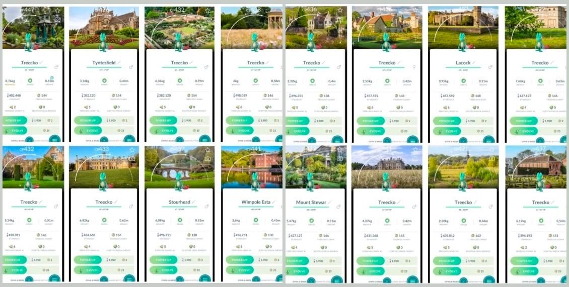 Pokémon Go - Shiny Treecko Background National Trust - PTC / Trade 20K Stardust