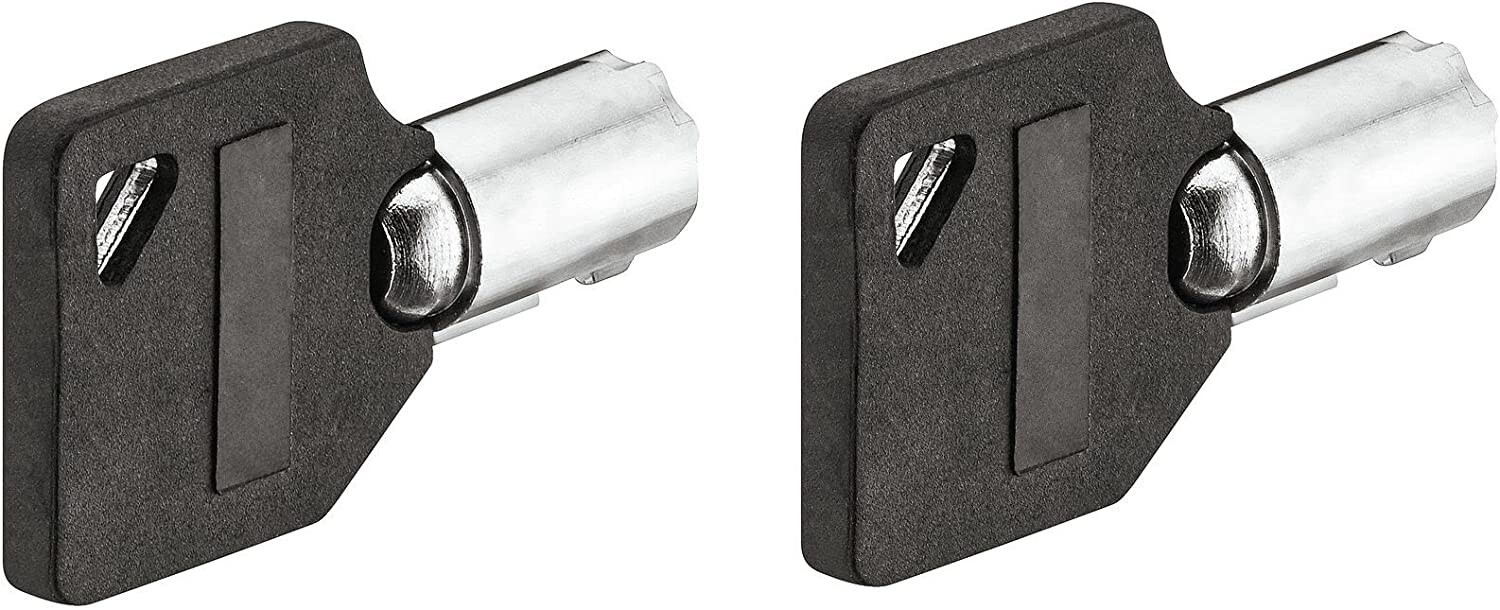 2x plant key Emergency N°11 safe cabinet furniture master lock Pass keys bike