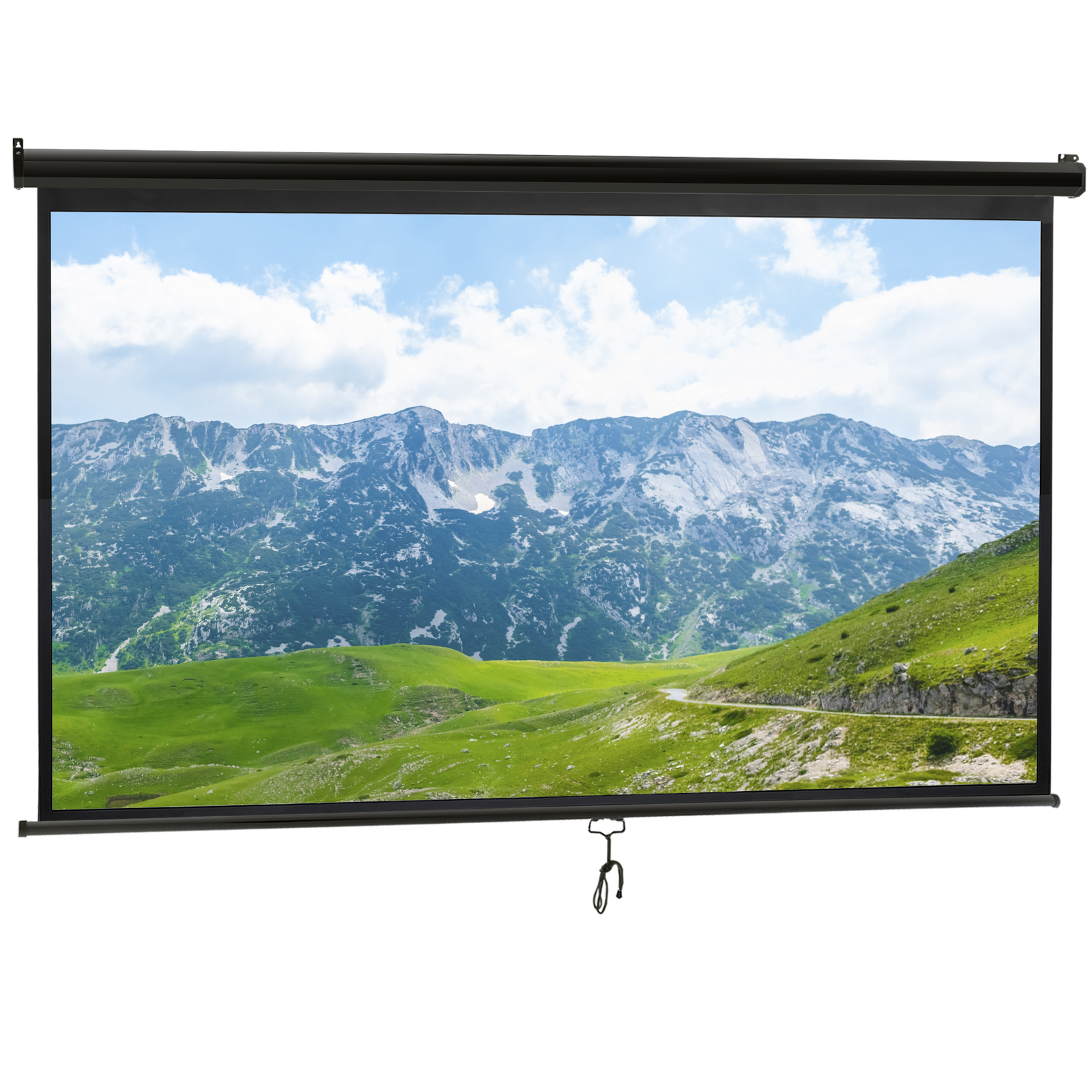 Portable Pull Down 100" 16:9 Hd Projection Screen Home Office Indoor Outdoor Use