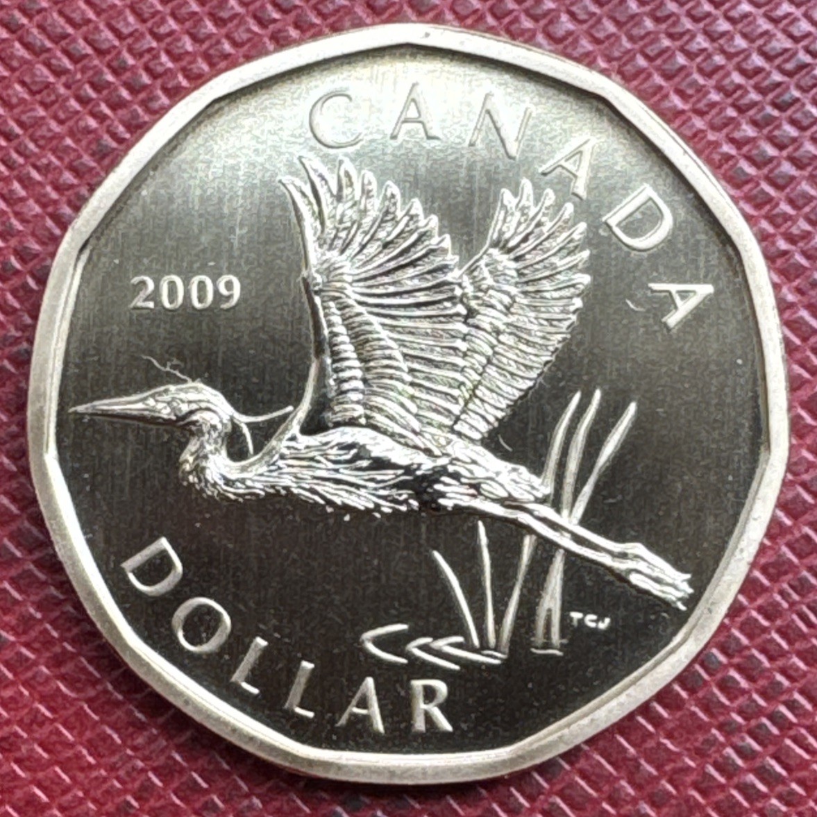 Canada 2009 1 Dollar. Great Blue Herron. Specimen Loonie. UNC. RARE. KM# 914