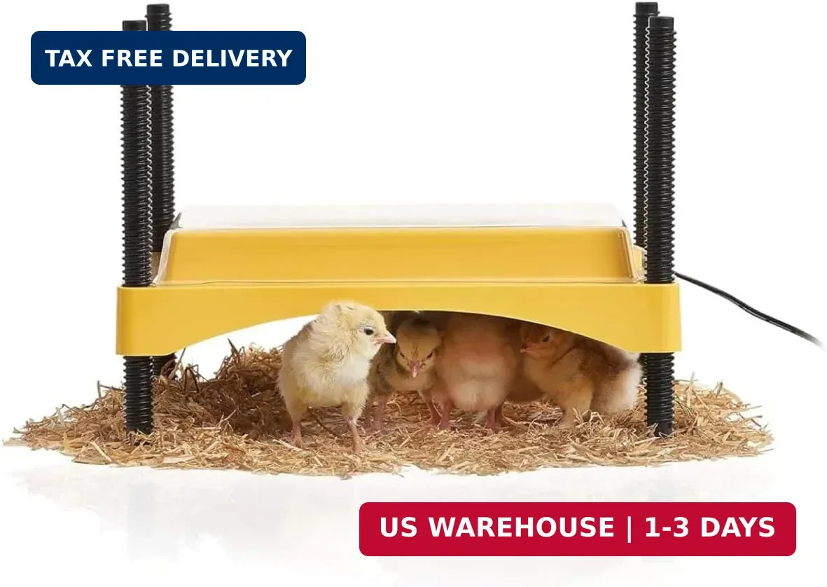 Brinsea Ecoglow Safety 600 Chick or Duckling Brooder, Up to 20 Chicks | 50+ year
