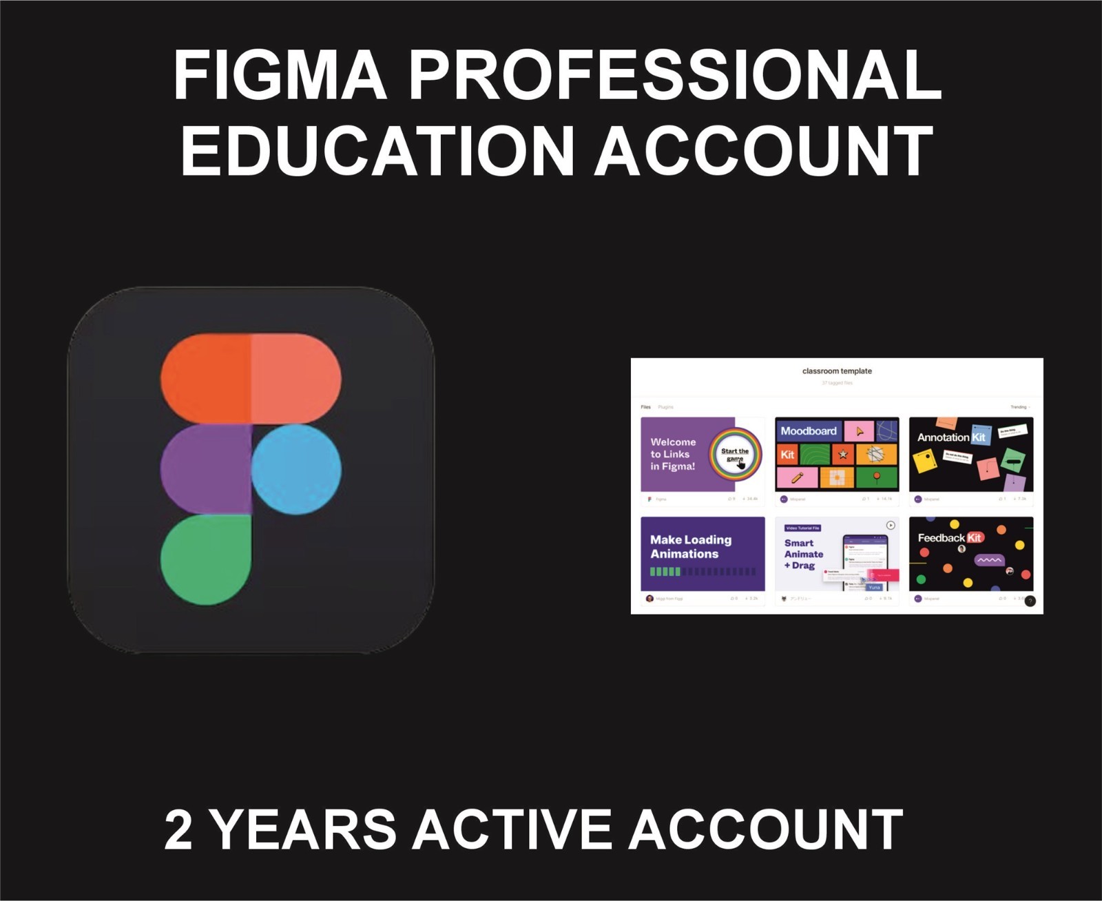 Figma Professional Education, 2 Years, Account