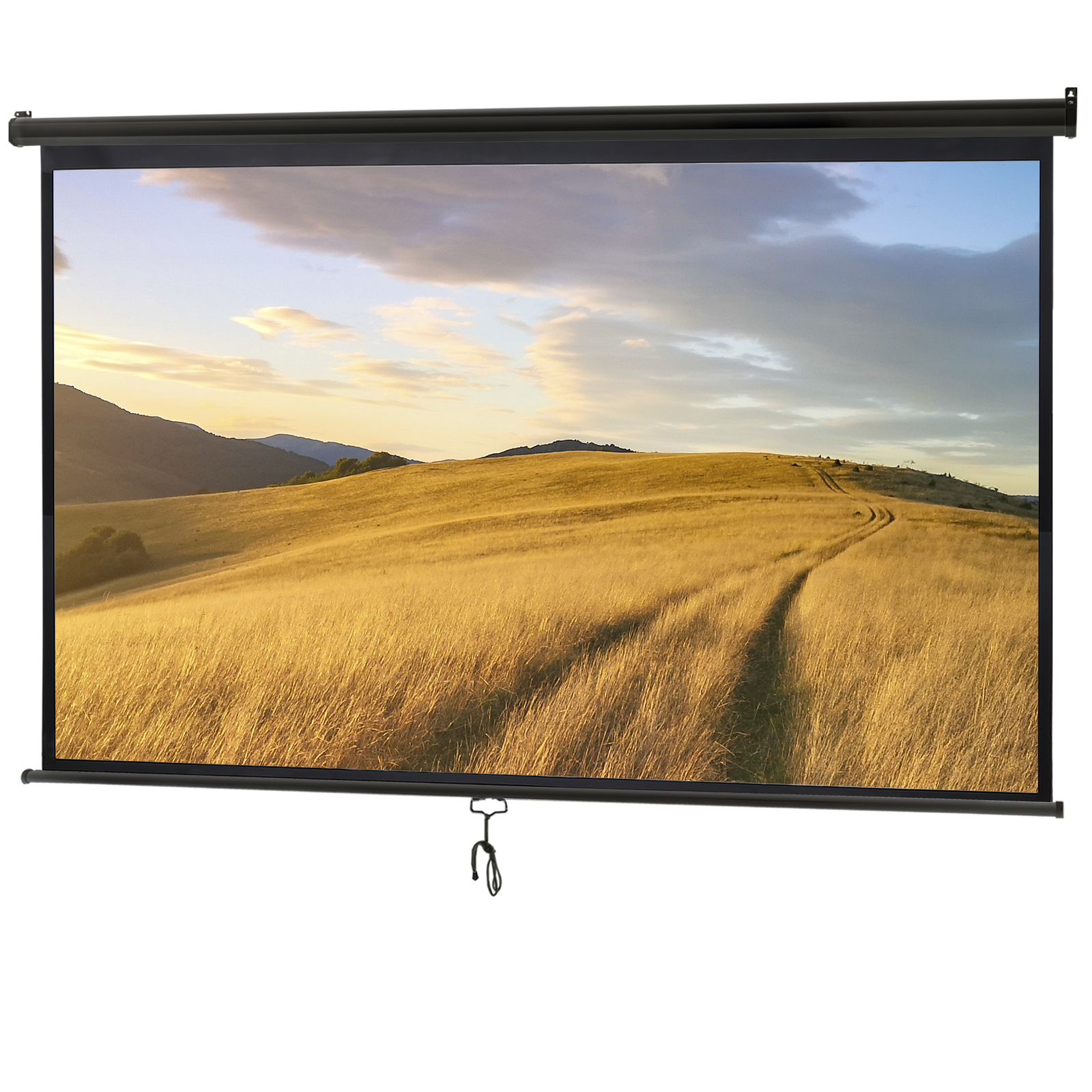 Portable Pull Down 100" 16:9 Hd Projection Screen Home Office Indoor Outdoor Use