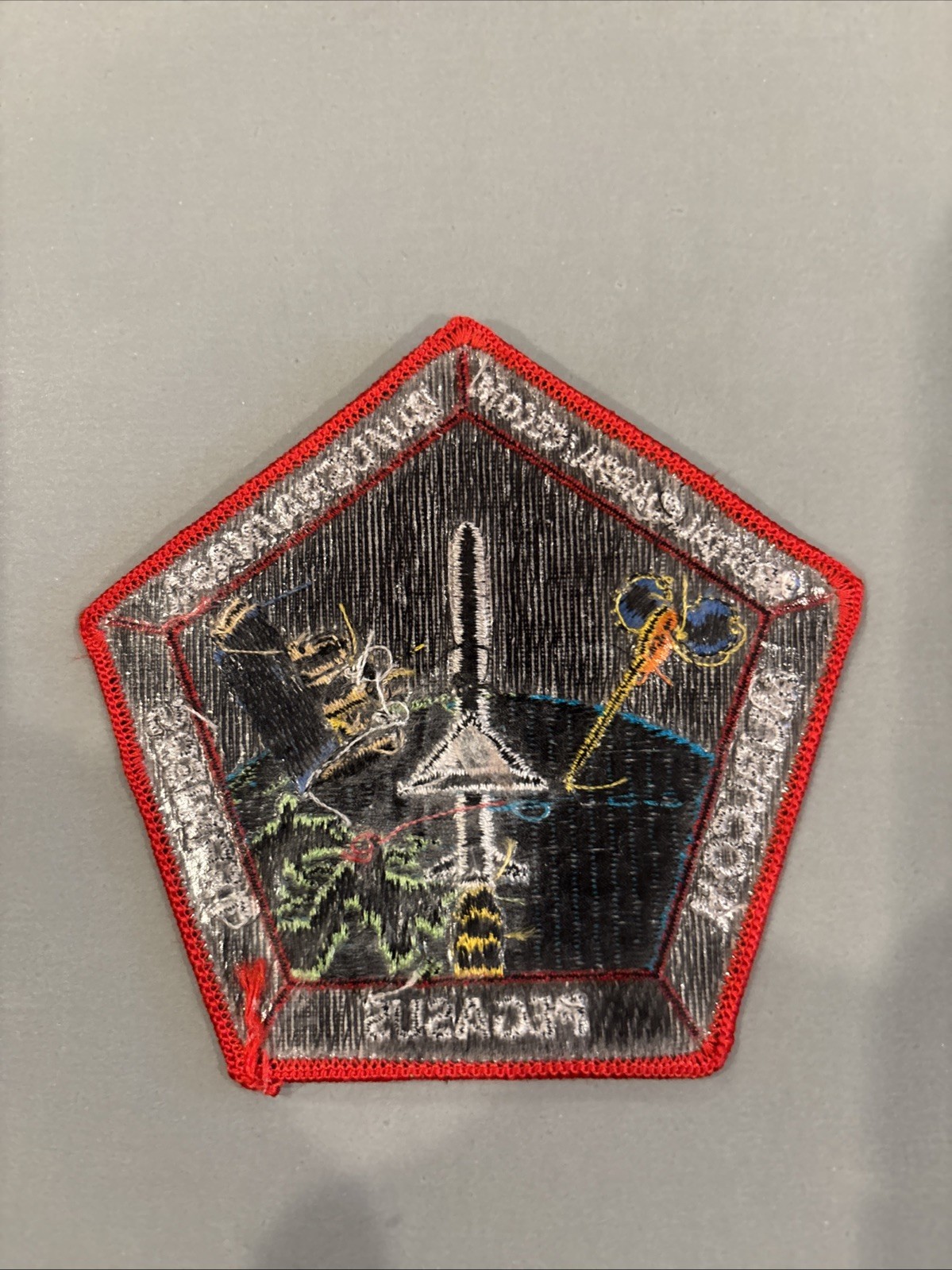 TERRIERS satellite Patch