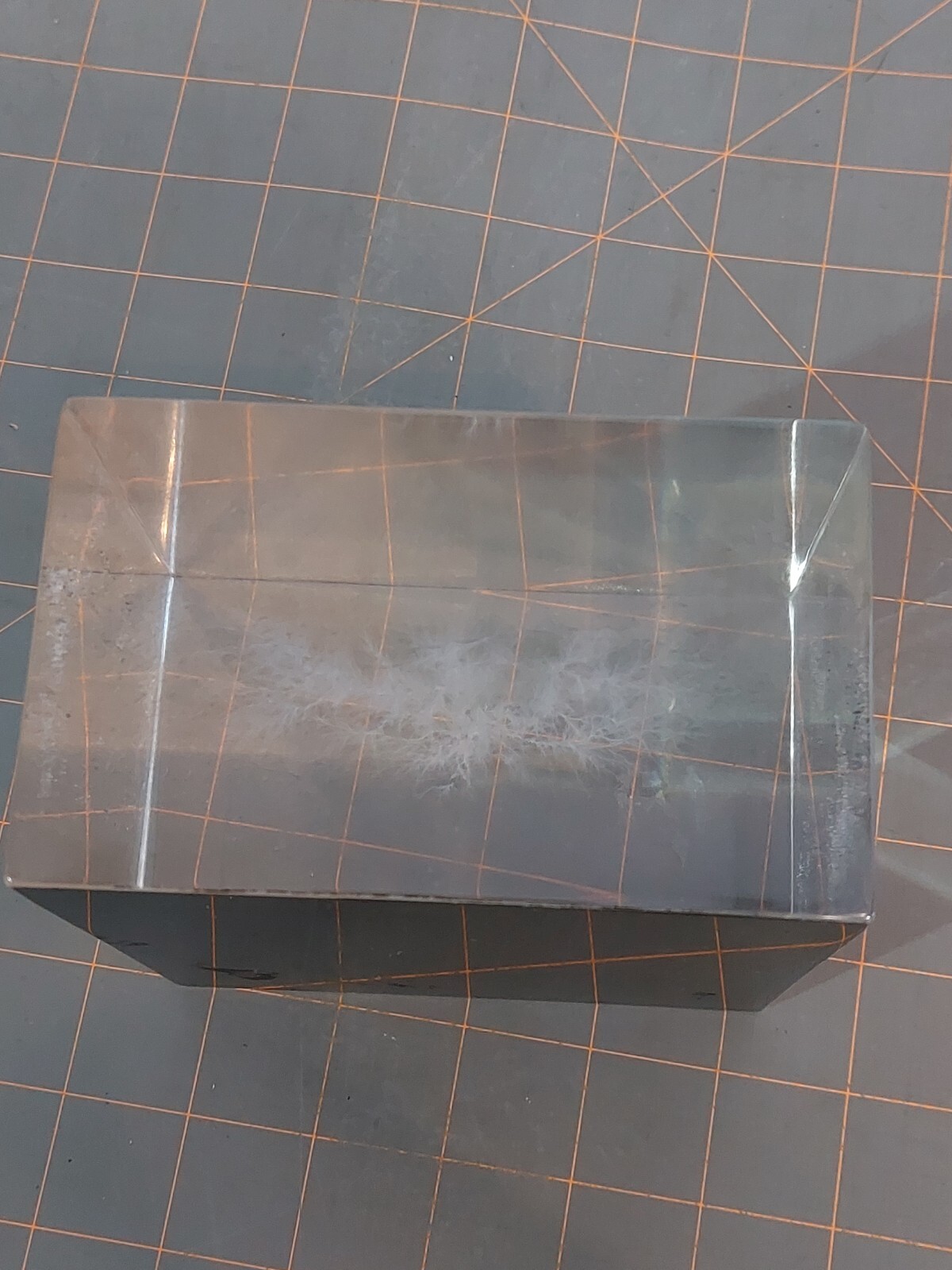 Captured Lightning Lichtenberg Figure Electron Tree Paperweight