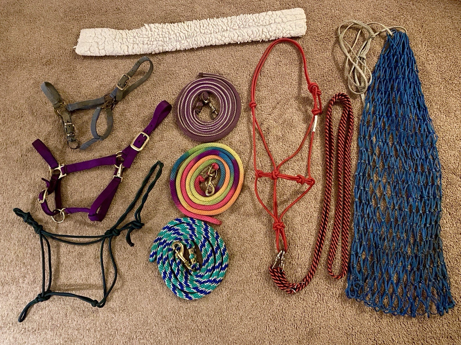 Assorted horse Tack Lot